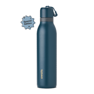 Owala FreeSip Twist Stainless Steel 24oz Winter Nights