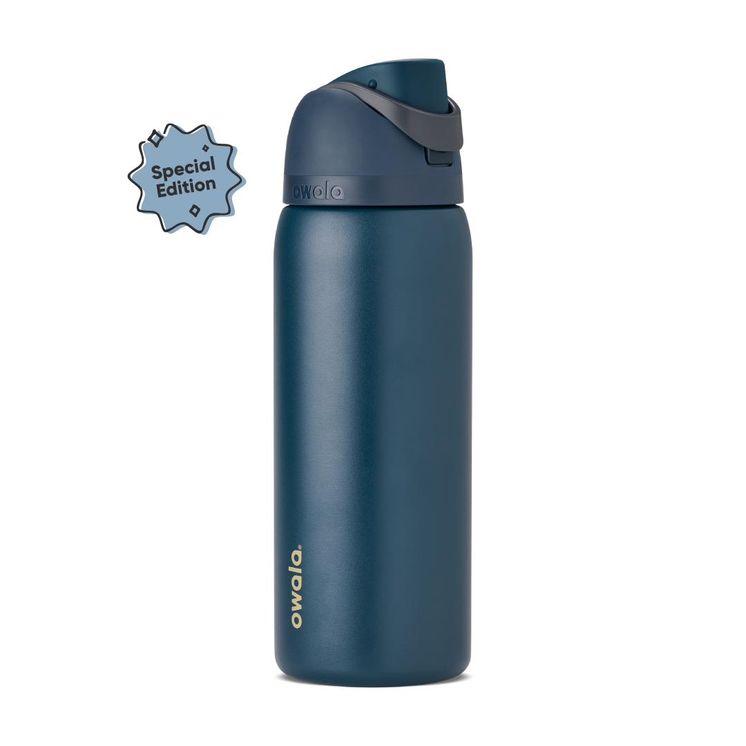 Owala FreeSip Stainless Steel 32oz Winter Nights